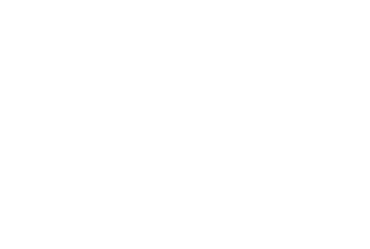 digitalworld Academy